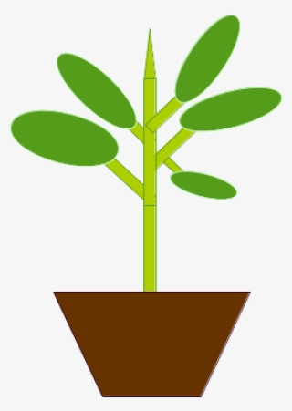 I Have Lately Been Dabbling In Some Indoor Gardening #6312778