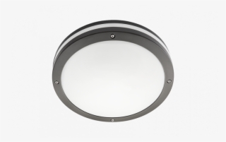 Discos - 205 Series #6313538