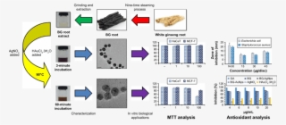 Scheme 1 Preparation And Characterization Of Black - Gallic Acid Silver Nanoparticles Shape #6313696