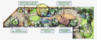 Identifying Biblical Plants Is Not A Simple Task - Garden Plant Layout #6318190
