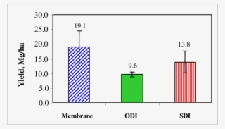 The Green Pepper Yield In Kibbutz Chafets-chaim, #6318623