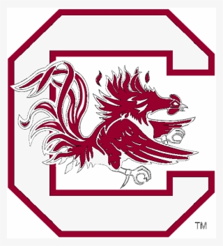 South Carolina Gamecocks #6318625