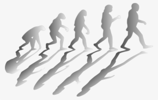 Social Media Quality Assurance Evolution Knowledge - Darwin's Contribution #6319380