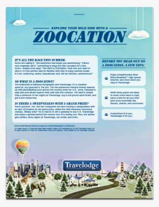 Previous / Next Image - Flyer #6320583