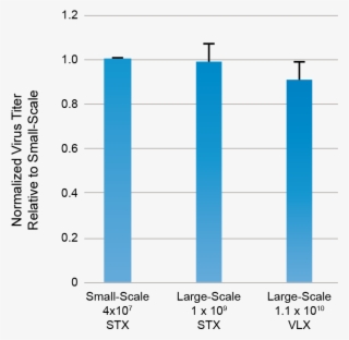 Suspension-adapted Hek 293ft Cells Were Mixed With #6323005