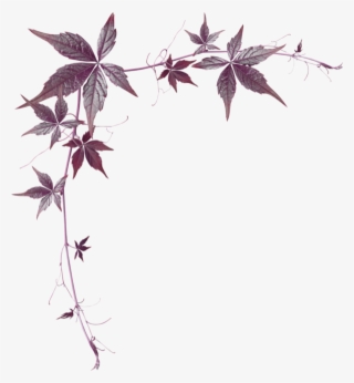 Thumb Image - Sayfa Kenarlık Png #6324343