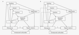 Causal Diagram For The Association Between Menopause - Diagram #6324538