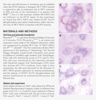 Hcv Ns5a Protein Staining Of Huh7 Cells After 48 H - Document #6324655
