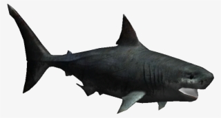 Megalodonroy - Zoo Tycoon 2 Megalodon #6325580