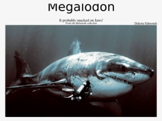 Megalodon Sheet Music For Piano, Piccolo, Alto Saxophone, - Hd Great White Shark #6325716