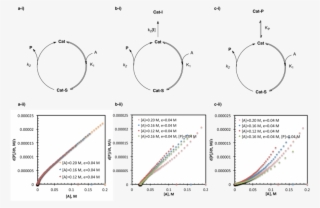 Reaction Progress Kinetic Analysis Can Distinguish - Diagram #6328180