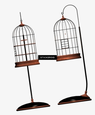 Cage Bird Objects - Portable Network Graphics #6331340