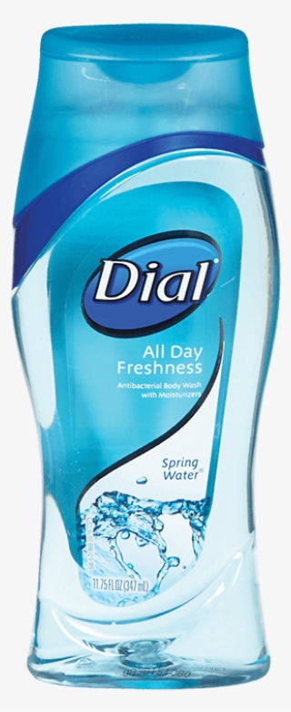 Dial Body Wash - Dial Body - #6333401