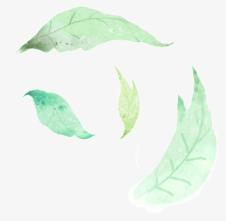 Beautiful Hand Painted Leaf Png Hd #6335672