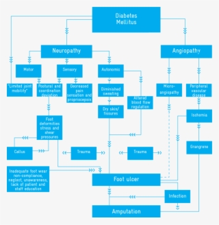 1 Pathogenesis Of Diabetic Foot Ulcer #6335797