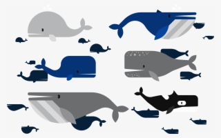 Ballena Vector #6335851 Ballena Vector #6335851
