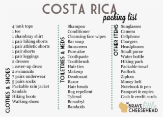 The Brave Little Cheesehead - Vacation #6339571