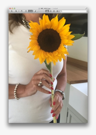 Order Your Party Kit At Http - Sunflower #6340703