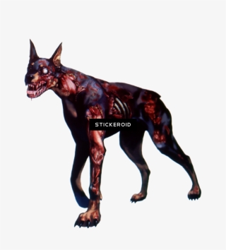 Zombie - Los Perritos Más Feos Del Mundo #6340975