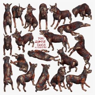 Ptzombieudogs - Zombie Gone Wild #6341092