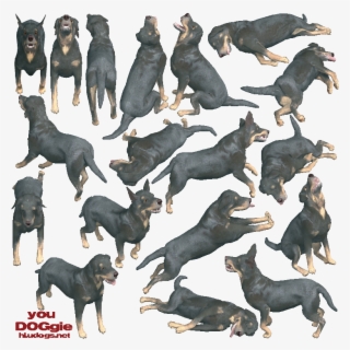 Ptudog - Dobermann #6341515