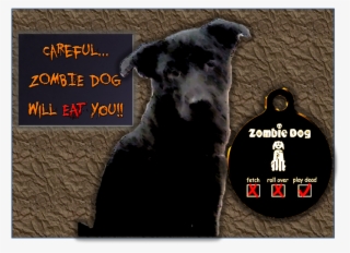 Everything - Ebook Shari`a In The Secular State #6341625