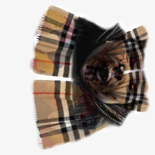 Picsart Photo Studio #6344700