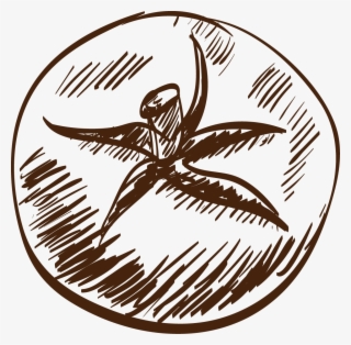 Drawing Salad Clip Art Tomatoes Transprent - Drawing #6345470