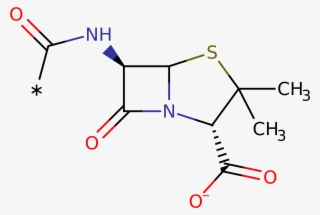 Enzyme Reaction - Allantoin #6345567