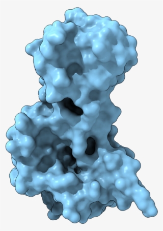 Surface Display - Blueberry #6345666