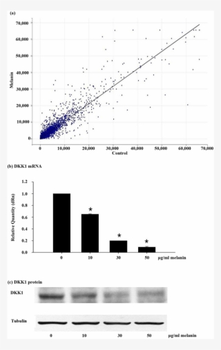 Microarray Analysis Revealed The Inhibition Of Dkk1 #6345773