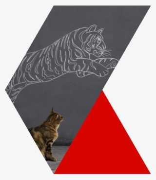 Learn More - Tabby Cat #6348843