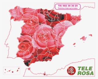 Pedidos Internacionales Tlf 902 30 30 - Floristry #6349277