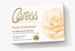 Garden Roses #6349336