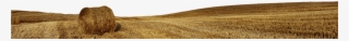Golden Wheat Fields - Varnish #6351706
