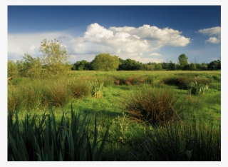 National Trust - Runnymede #6352101