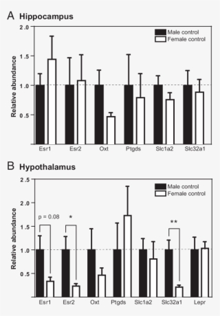 Sex Differences In Hippocampal And Hypothalamic Expression - Gene Expression #6352945