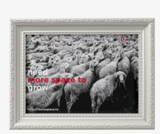 More Space To Grow Wallpaper - Don T Follow The Majority Follow The Right Way #6355737