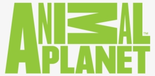 Animal Planet-nw - Animal Planet Logo 2016 #6357462