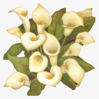 Clip Art The Art Of Painting Flower Arum-lily - Clip Art Lily Flower Bouquet Black And White #6357616