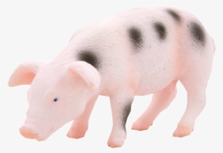 Mojo Animal Planet Прасе - .net #6358077