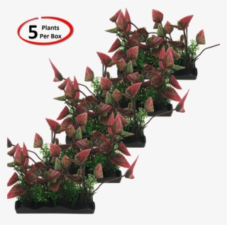 View Larger - Garden Roses #6361026