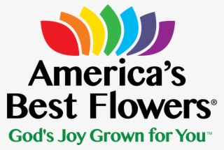 Flowers Top View Png #6361179