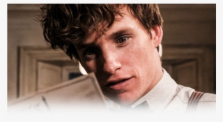 Newt And Tina #6361443