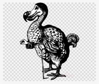 Download Dodo Alice Clipart Dodo Alice's Adventures - Alice's Adventures In Wonderland Dodo #6365909