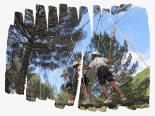 Aventuras En La Granja - Cortijo Cabriñana Cb Córdoba #6367040