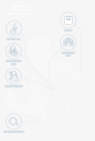 Physiological Effects Of Altitude - Circle #6374332