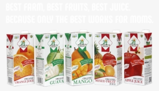 Fruits - 24 Mantra Organic Mango Juice 1l Tetra Pack #6374643