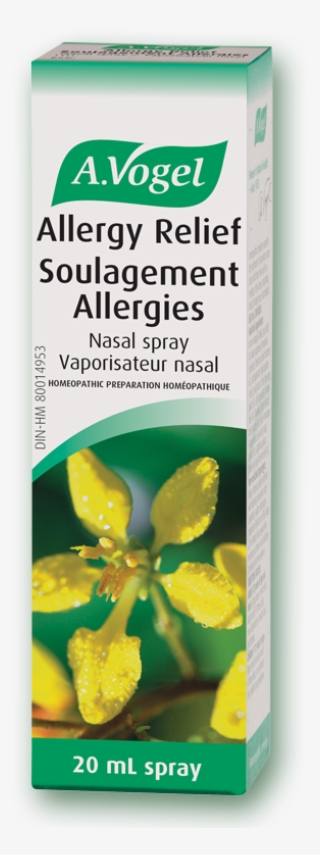 A Natural Allergic Rhinitis Treatment #6375032