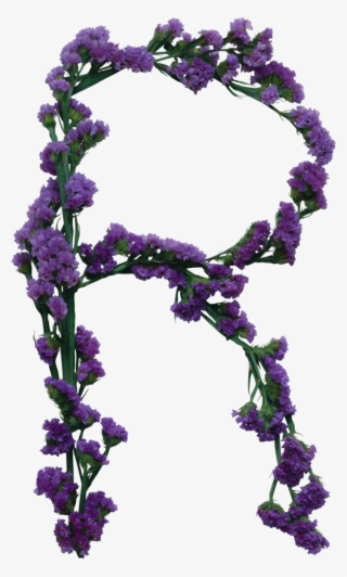 B *✿* Naturaleza - Down To Earth #6375980